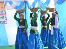 Cultural Performances in School